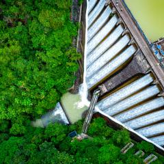 Dam