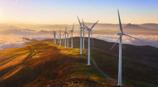 windmills