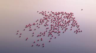 Pink balls forming an arrow