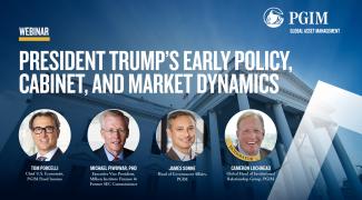President Trump’s Early Policy, Cabinet, and Market Dynamics