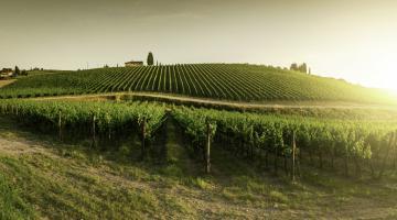 Low-Hanging Fruit Why You Should Plant U.S. Agriculture in Your Institutional Portfolio