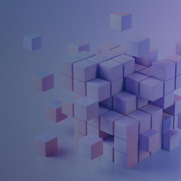 Portfolio Advisory