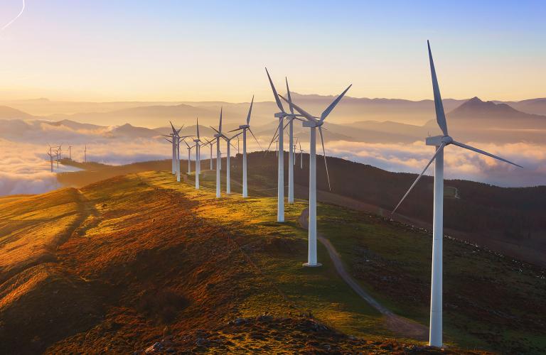 windmills
