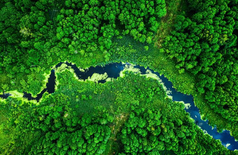ESG image: A river through forest