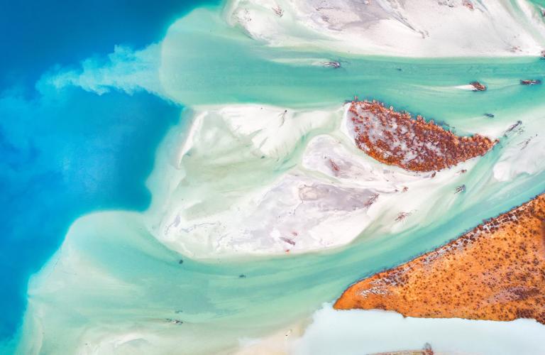 Losing earth: the decade we almost stopped image