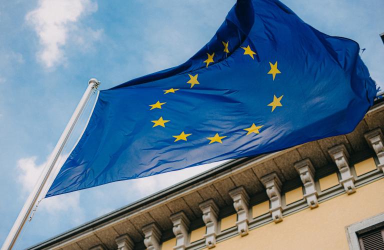 European Parliament flag