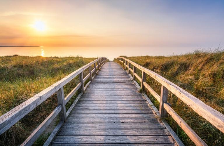 Walkway to beach 