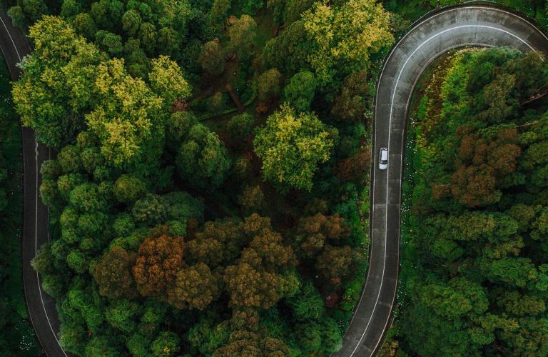 Image of a car driving along a windy road through a forest.