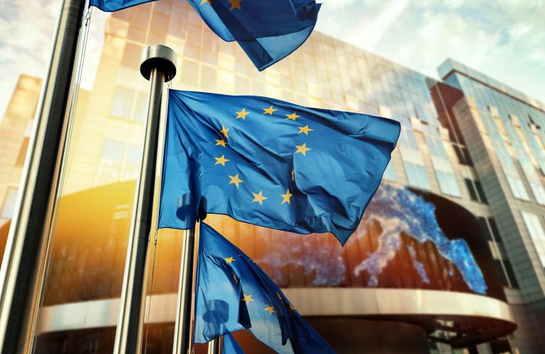 EU Flags