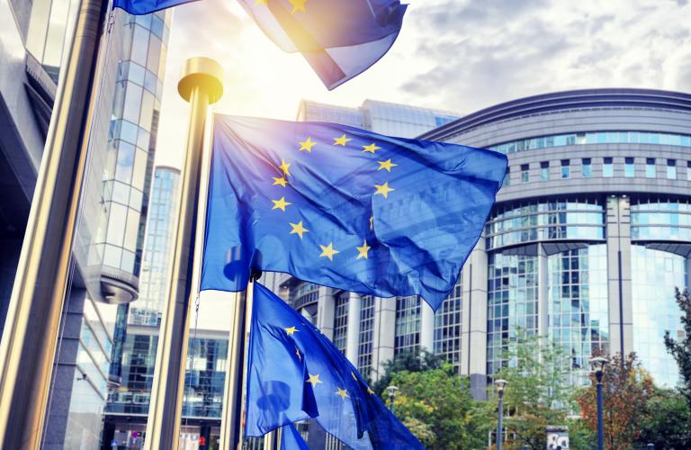 Image for Cautious ECB Cut