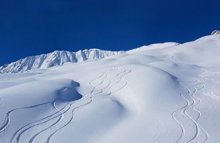 Snow Bank