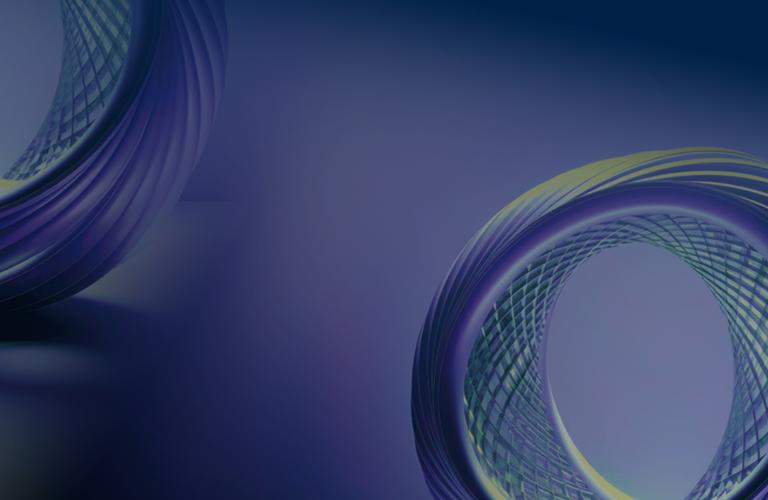 Risk_Report_Webinar